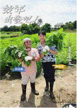 黑铁的鱼影海报